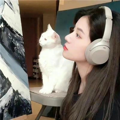 猛虎嗅蔷薇之舞“盗”团