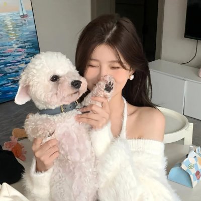 偷龙转猫